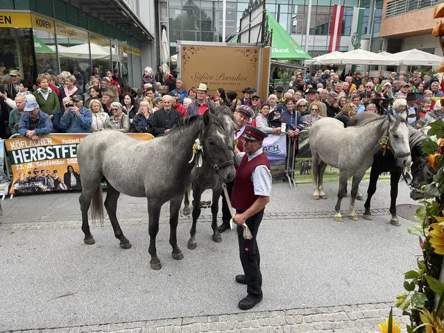 Der Lipizzaner-Almabtrieb hat heuer einige Neuerungen zu bieten. | Foto: René Lederer