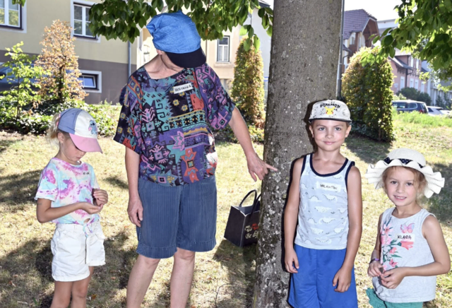 Der Stadtpark Horn verwandelte sich beim Ferienspiel von „Die Grünen Horn“ in eine bunte Erlebniswelt für neugierige Entdecker. | Foto: Gabriele Hohenegger / Stadtgemeinde Horn