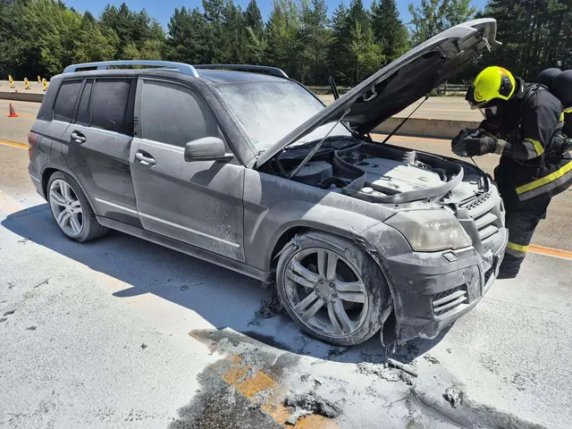 Pkw brannte auf der A11 Karawankenautobahn. | Foto: Feuerwehr St.Jakob im Rosental