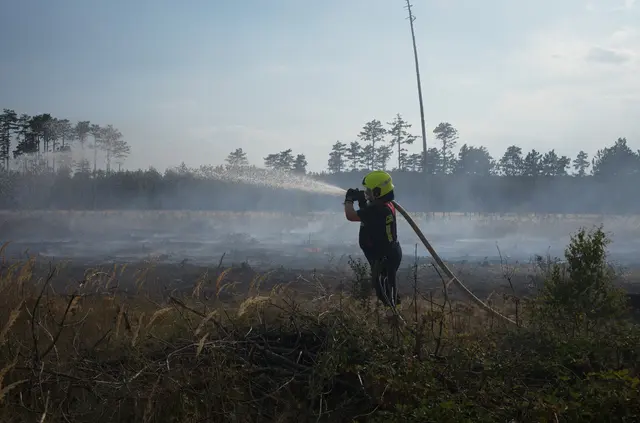 Wasser Marsch! | Foto: Santrucek