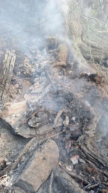 Foto: Freiwillige Feuerwehr Flattach-Fragant