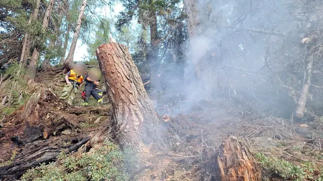 Die Einsatzkräfte arbeiten intensiv daran, den Waldbrand vollständig unter Kontrolle zu bringen. | Foto: Freiwillige Feuerwehr Flattach-Fragant