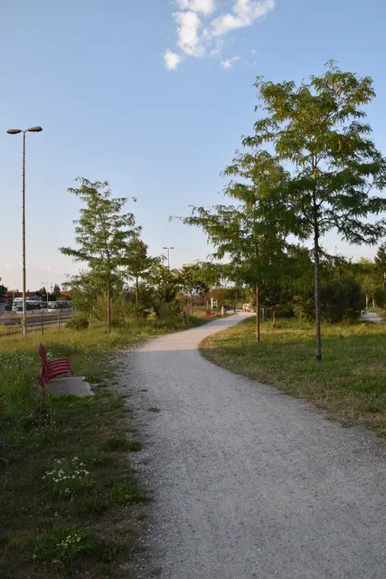 Der Stadtwald als "grüne Oase" für die Bevölkerung im Wieselburger Zentrum | Foto: Roland Mayr/MeinBezirk Scheibbs