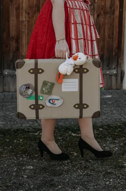 Der Materialkoffer mit Goosetav der Gans.  | Foto: Landjugend Bezirk Braunau