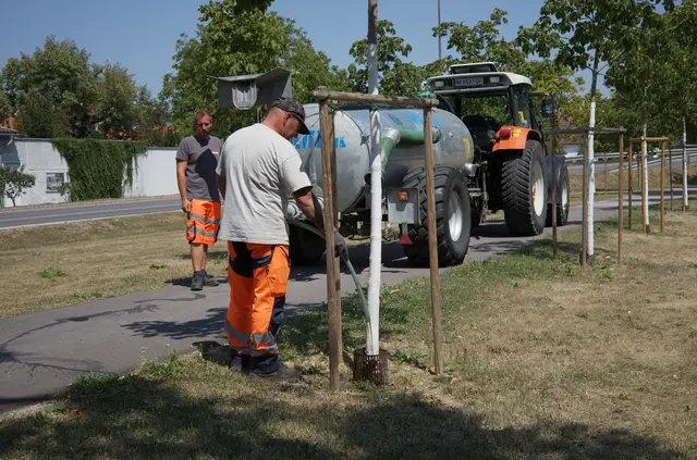 Die Baumbewässerung in Ternitz erfolgt nicht mit Trinkwasser, sondern kommt aus einer Wasserentnahmestelle in St. Johann. | Foto: Santrucek