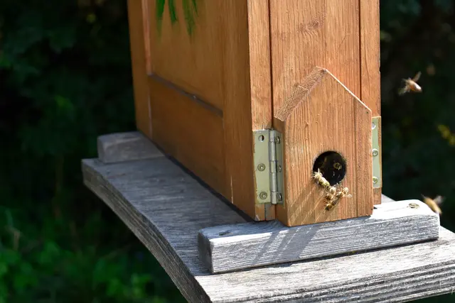 Der Bienen-Info-Point wurde vom Bienenzuchtverein St. Michael ob Bleiburg/Čebelarsko društvo Šmihel pri Pliberku angelegt und wird auch von den Mitgliedern gepflegt und betreut.
Es gibt hier auch einen Bienen-Schaukasten, ein Insektenhotel und Blumenwiesen | Foto: MeinBezirk.at/Petra Lammer