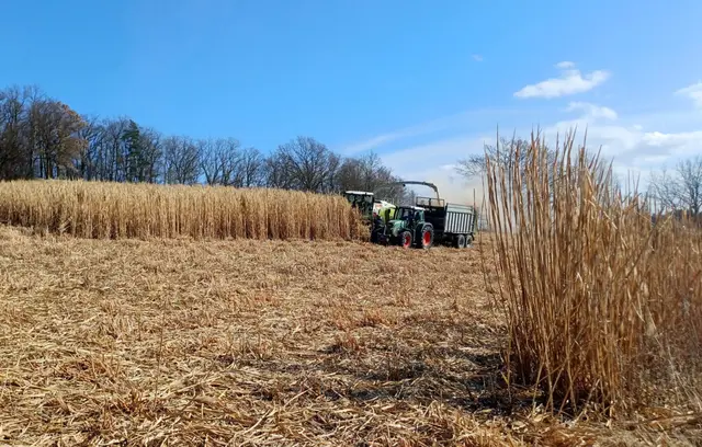 Feld mit Erntemaschine