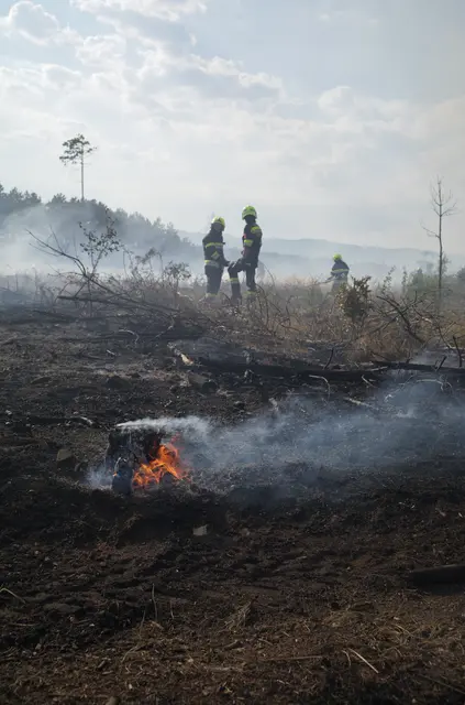 Kleine Brandherde flammten immer wieder auf. Aber auch die großen Bäume brannten lichterloh. | Foto: Santrucek