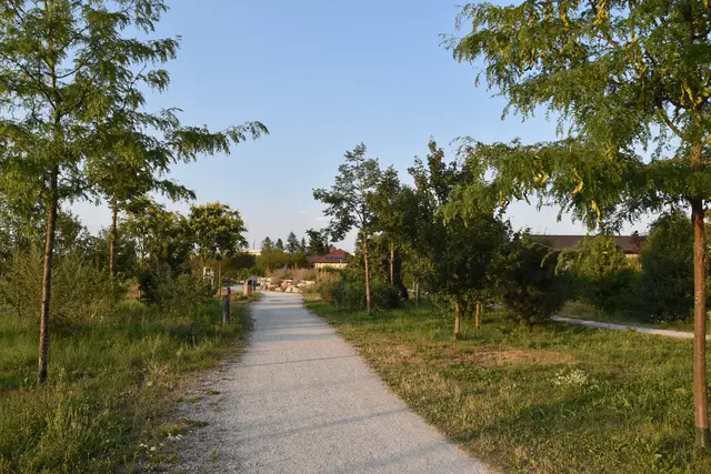 Der Stadtwald als "grüne Oase" für die Bevölkerung im Wieselburger Zentrum | Foto: Roland Mayr/MeinBezirk Scheibbs