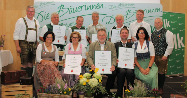 Die Kammermedaille in Bronze erhielten zahlreiche Anwesende. | Foto: Cescutti
