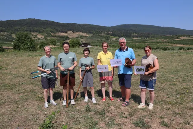 Landschaftspflegeverein, Alpenvereinsjugend, Gemeinde Pfaffstätten und eine Bio-Schäferin betreuen die Trockenrasenflächen. | Foto: Manfred Wlasak
