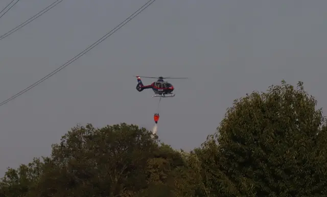 18 Hektar in Flammen: Großeinsatz in der Lobau dauert an.
 | Foto: DOKU-NÖ