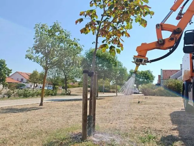 Die Gemeine Parndorf bittet um Unterstützung beim Gießen der Bäume und Sträuche in der Ortschaft. | Foto: Gemeinde Parndorf