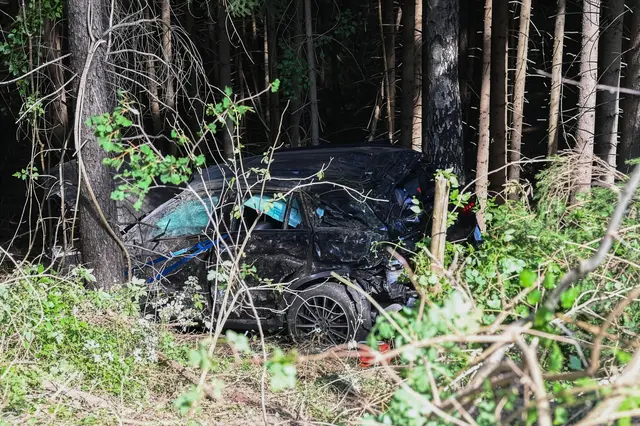 Ein Fahrzeug stürzte auf der A13 bei Schönberg über eine Böschung in einen Wald. | Foto: Rotes Kreuz IBK Land