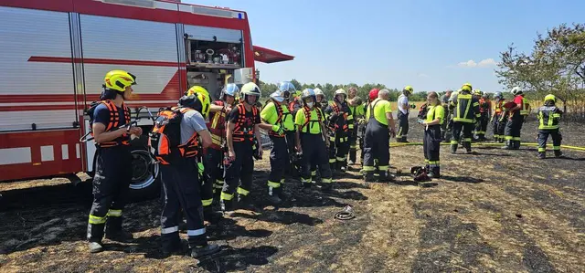 Insgesamt waren 31 Feuerwehren mit 71 Einsatzfahrzeugen vor Ort. | Foto: BFKDO Mattersburg