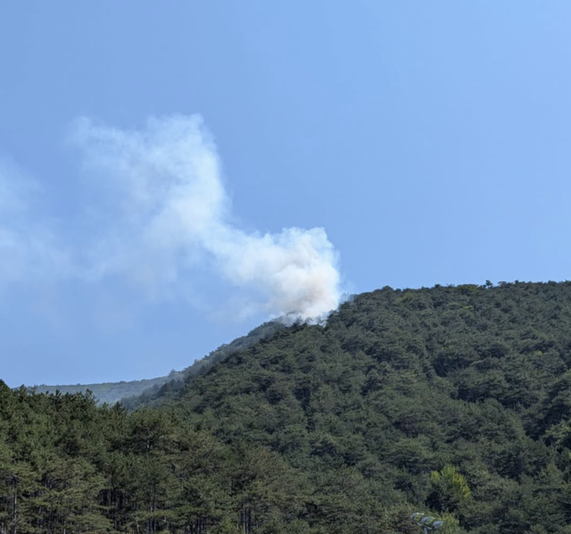 Ein Waldstück in Waldegg brennt. Feuerwehr im Einsatz. | Foto: BFKD WRN