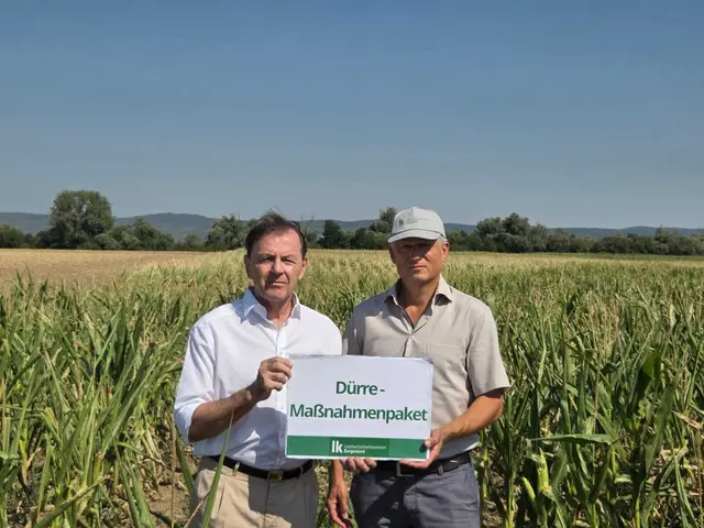 LK-Burgenland Präsident Nikolaus Berlakovich und Kammerdirektor Martin Burjan fordern ein umfassendes Dürre-Maßnahmenpaket. | Foto: LK Burgenland