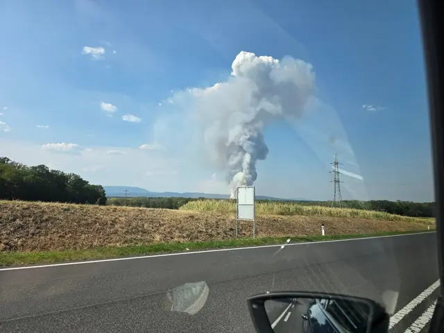 Feuerwehren aus der gesamten Umgebung im Großeinsatz: Waldbrand hält Einsatzkräfte auf Trab.
Dichte Rauchschwaden über St. Egyden am Steinfeld: Die Löscharbeiten laufen auf Hochtouren. | Foto: Zezula