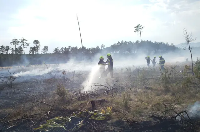 Gemeinsam gegen die Flammen. | Foto: Santrucek