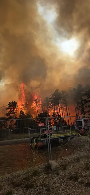 Besonders schlimm wütete der Brand unweit eines Löschteiches im Föhrenwald. | Foto: privat