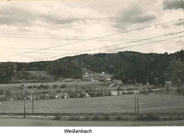 Der Blick auf Weißenbach zeigt, wie eng die Entwicklung des Ortes mit den Hammerwerken und späteren Industriebetrieben verbunden war.