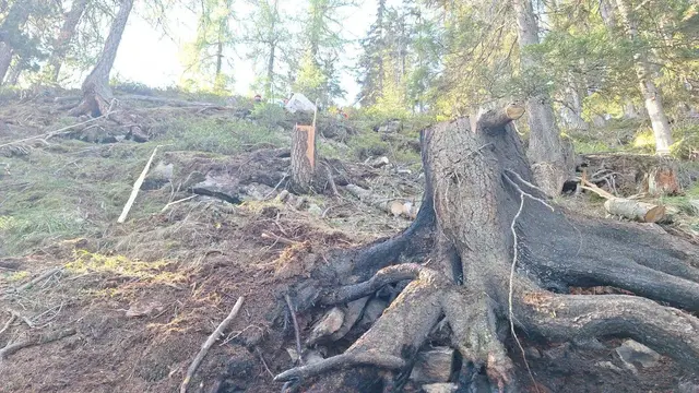 Foto: Freiwillige Feuerwehr Flattach-Fragant