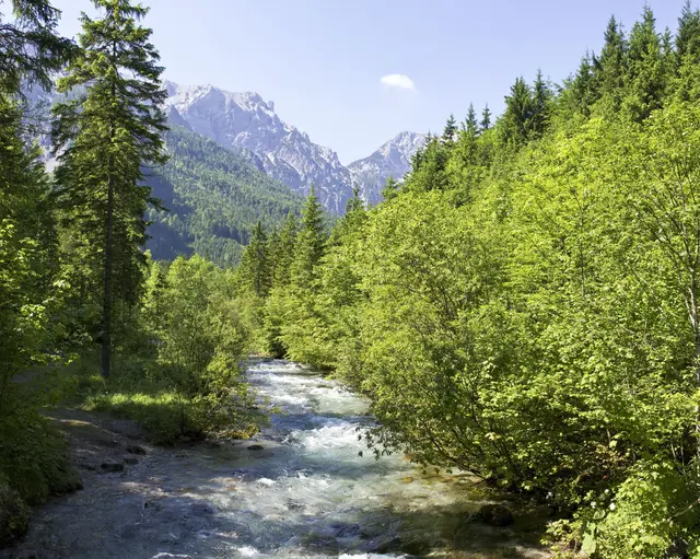 Auch die Steyr führt derzeit deutlich weniger Wasser als im langjährigen Durchschnitt. | Foto: TV Pyhrn-Priel