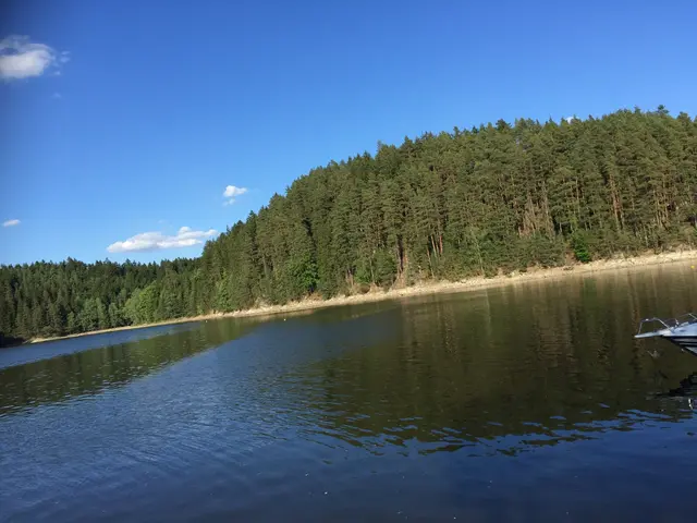 Am Ufer des Ottensteiner Stausees wurde der Gesuchte schließlich aufgefunden. | Foto: Symbolbild/Archiv