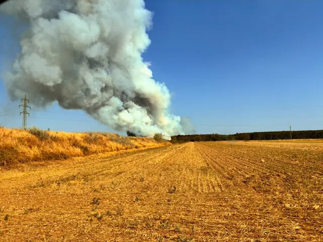 Großer Waldbrand bei St. Egyden am Steinfeld: Zahlreiche Feuerwehren kämpfen gegen die Flammen.
 | Foto: Zezula
