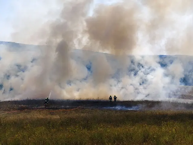 Fünf Feuerwehren rückten aus, um gemeinsam den Flurbrand bei Holzschlag zu bekämpfen. | Foto: Feuerwehr Holzschlag