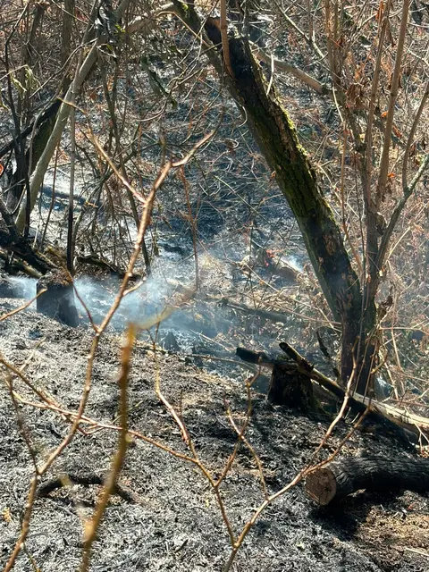 Foto: BFKDO Gänserndorf