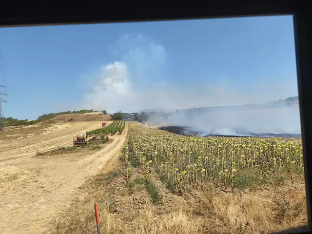 Foto: BFKDO Gänserndorf