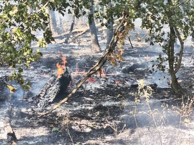 Foto: BFKDO Gänserndorf