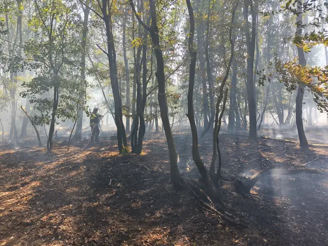 Foto: BFKDO Gänserndorf