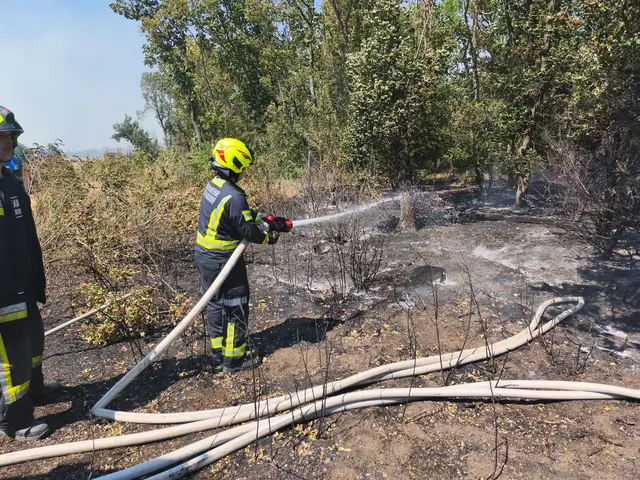 Foto: BFKDO Gänserndorf
