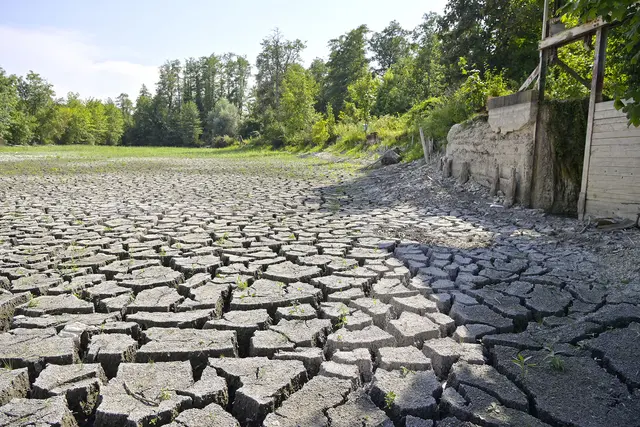 Der Moserteich in Schalchen. | Foto: Manfred Fesl