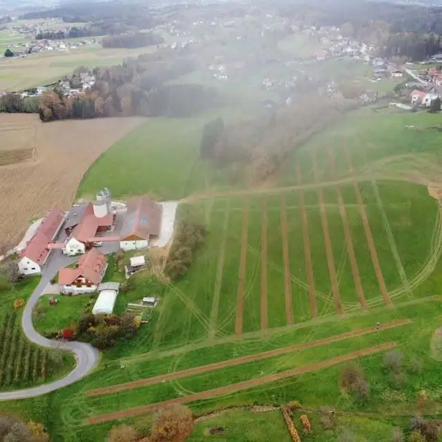 Biodiversitätshühnerweide – mehr als Auslauf beim Betrieb in Haselsdorf-Tobelbad | Foto: Hofveitl