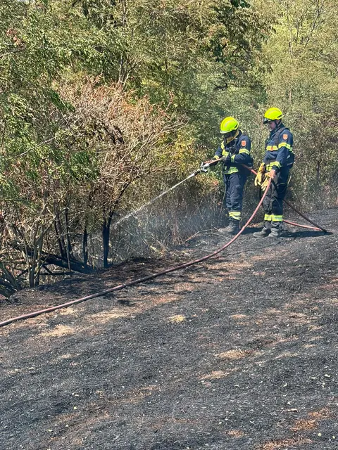 Foto: BFKDO Gänserndorf