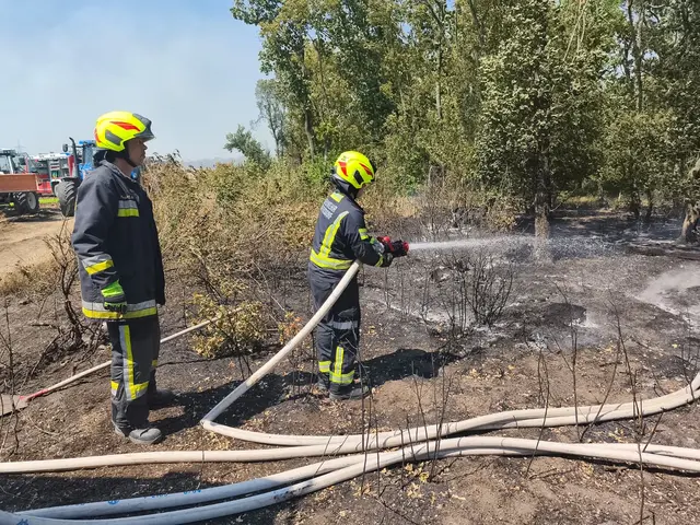 Foto: BFKDO Gänserndorf