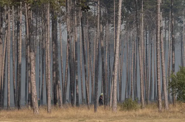 Die Löscharbeiten dauern an. | Foto: Santrucek