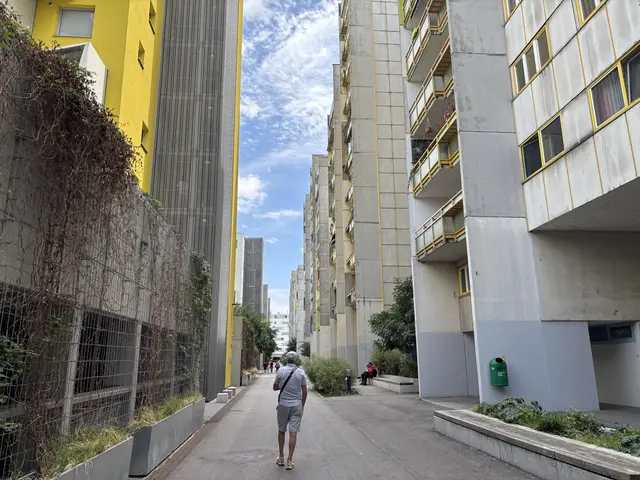 Auf dem Weg durch die Anlage zeigt Göksu laufend auf offene Stellen in der Fassade.  | Foto: Luca Arztmann/MeinBezirk