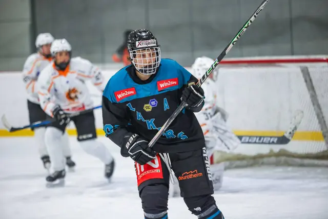 Foto: derHandler/Wolfgang Handler