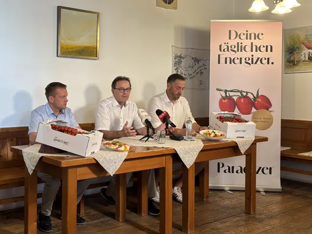 Die Paradeiser machen im Burgenland laut der Landwirtschaftskammer 29 Prozent des jährlichen Gemüseertrages aus. | Foto: Dorottya Fejes/MeinBezirk