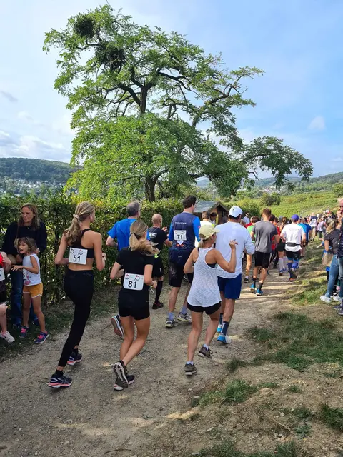 Der Neustifter Weinberglauf geht heuer in die 17. Runde. Am 4. Oktober 2026 können sich begeisterte Sportlerinnen und Sportler an der Strecke beweisen. | Foto: Neustifter Weinberglauf