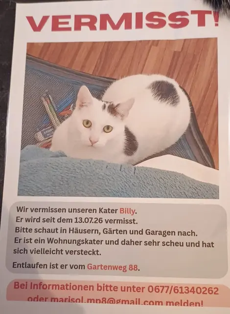 Foto: Noah Mößner