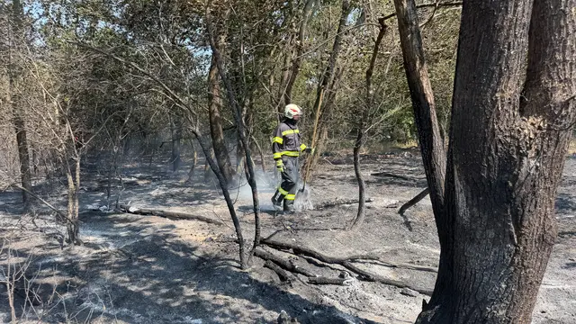 Foto: BFKDO Gänserndorf
