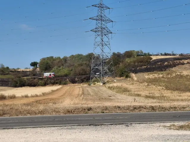 Foto: BFKDO Gänserndorf