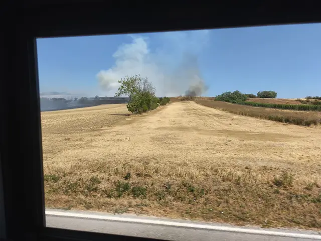 Foto: BFKDO Gänserndorf