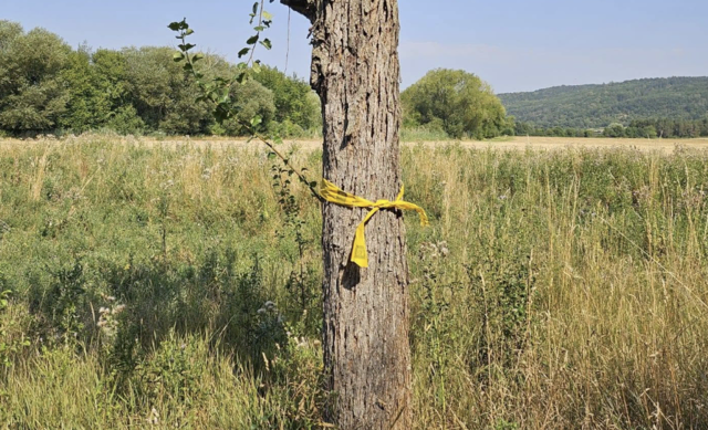Foto: FPÖ Bezirk Horn