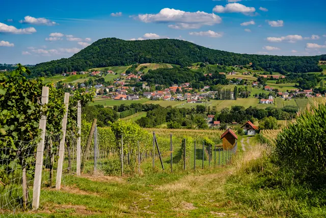 Der Königsberg über Tieschen ist ein historischer Schatz: Rund um den ehemaligen Vulkan reichen die Spuren menschlicher Besiedlung fast 6.000 Jahre zurück. | Foto: Gemeinde Tieschen